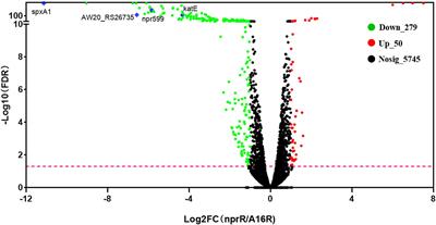 Integrated Transcriptomic and Proteomic Analyses Reveal the Role of NprR in Bacillus anthracis Extracellular Protease Expression Regulation and Oxidative Stress Responses